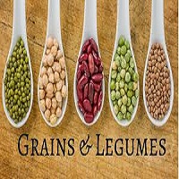 GRAINS AND LEGUMES