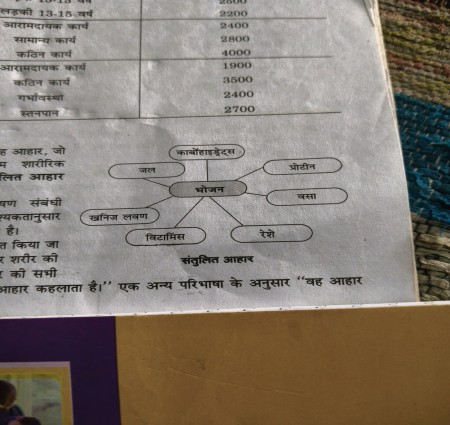 Santulit aahar