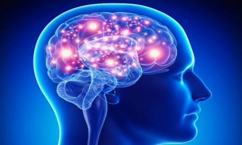 seizure disorder ( मिर्गी रोग )