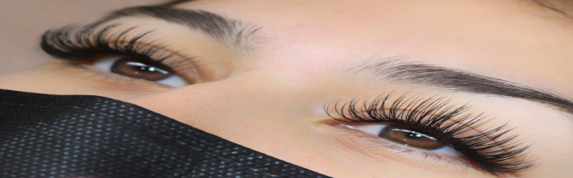  StacyLash Contact