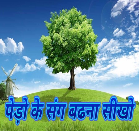 पेड़ों के संग बढ़ना सीखो