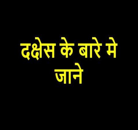 आएइ जाने की दक्षेस (सार्क) के बारे में