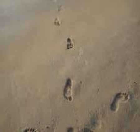 Footprints without feet