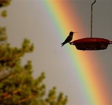 Nanhi jaan   (PART 1)