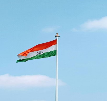 हमारा प्यारा तिरंगा