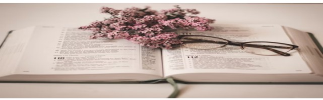 About Vanshika
