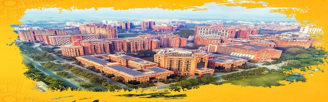 About Sharda University