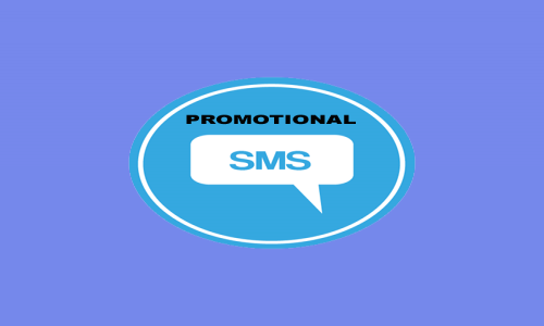 Transnational bulk SMS Service