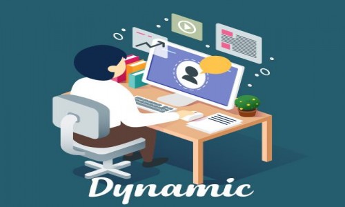 DYNAMIC WEBSITE BASIC