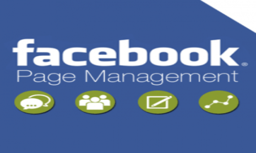 FACEBOOK PAGE MANAGEMENT