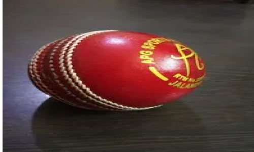 APG Alum Tanned Red Leather Cricket Ball