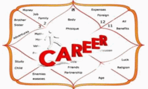 CAREER REPORTS